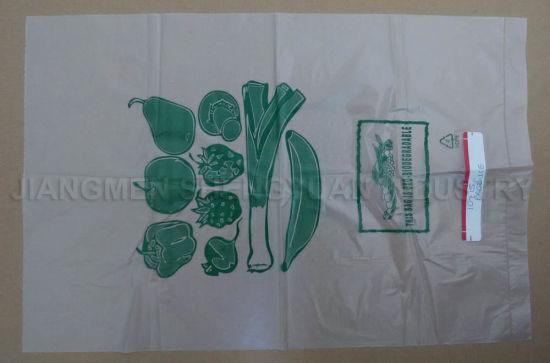 HDPE Transparent Oxo-Biodegradable Food Bag (FR07)
